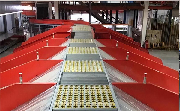 擺輪分揀機,分揀機,DWS物流設(shè)備